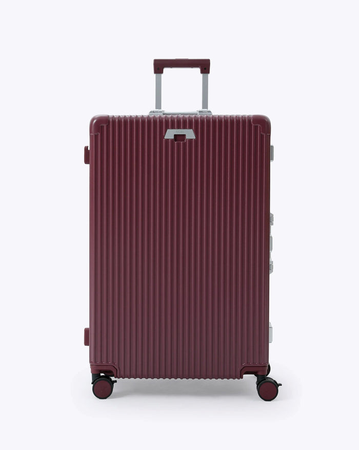 Carry-on + Check-in